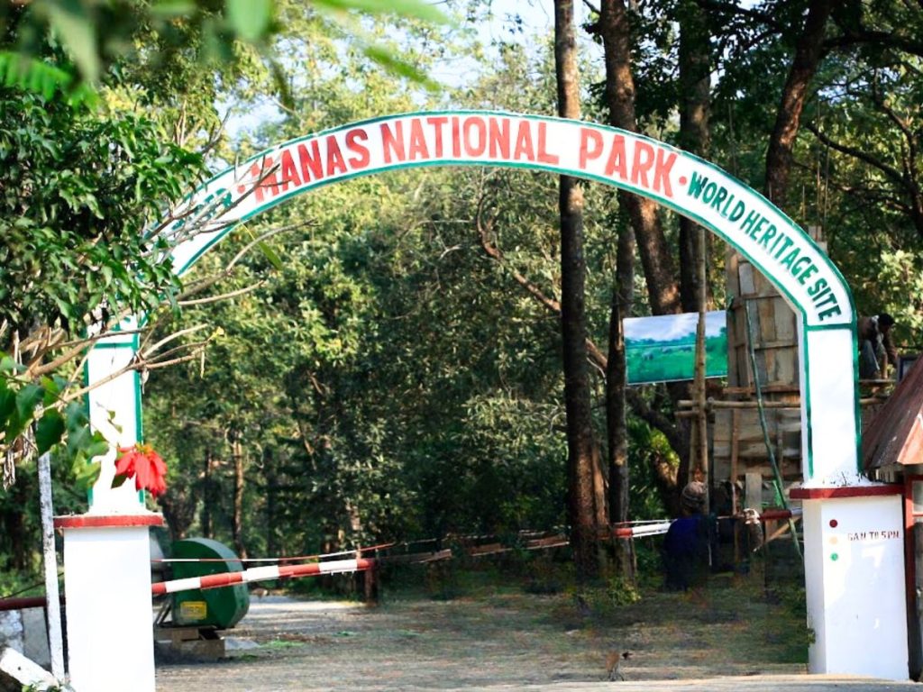 Manas National Park
