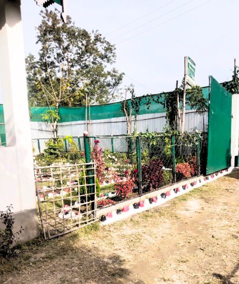 Manas Rabbit Home Saty