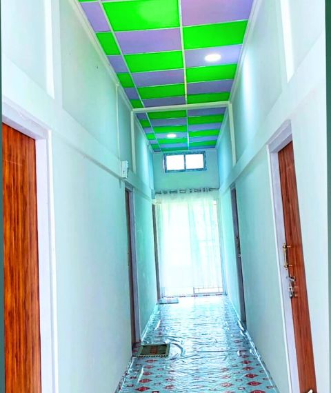 Manas Rabbit Home Saty